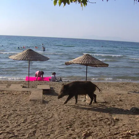 Ξενοδοχείο Panion Park 2*