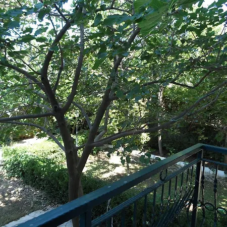 Panion Park Отель 2*