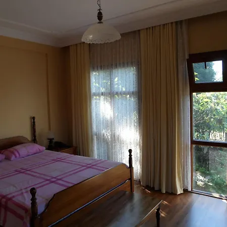 Hotel Panion Park